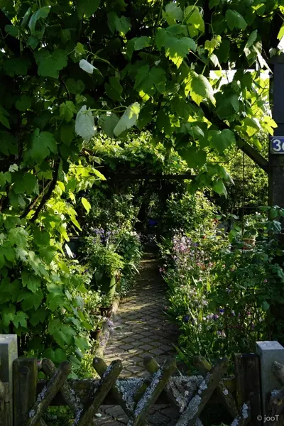 kgv-holzbüttgerhaus-bildergalerie-Gartenromantik