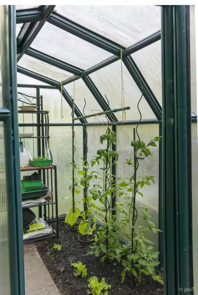 kgv-holzbüttgerhaus-bildergalerie-Unterglas Anbau kgv-holzbüttgerhaus-bildergalerie-Unterglas Anbau