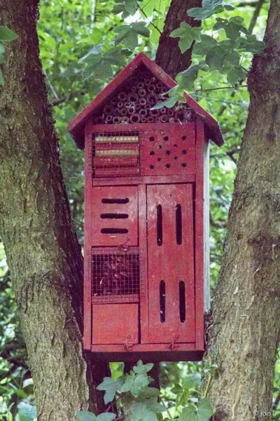 kgv-holzbüttgerhaus-bildergalerie-insektenhotel kgv-holzbüttgerhaus-bildergalerie-insektenhotel