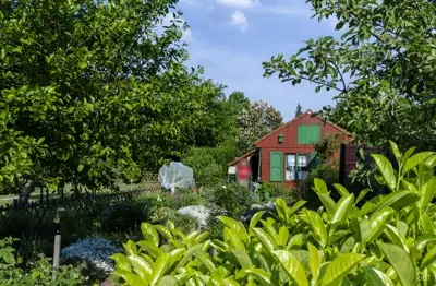 kgv-holzbüttgerhaus-bildergalerie-gartenlaube mit nutzgarten kgv-holzbüttgerhaus-bildergalerie-gartenlaube mit nutzgarten