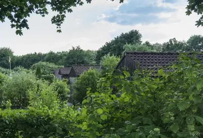 kgv-holzbüttgerhaus-bildergalerie-Grüne Lunge für Kaarst